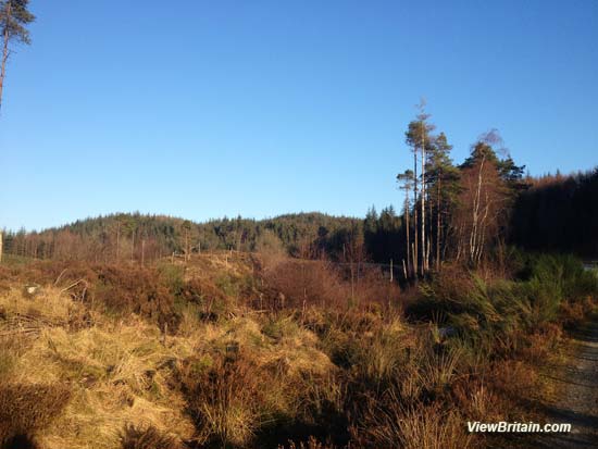 Garbeg-Hill-Loch-Ard-Forest