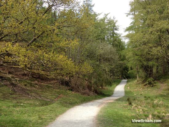 image of the walk around Tarn Hows lake