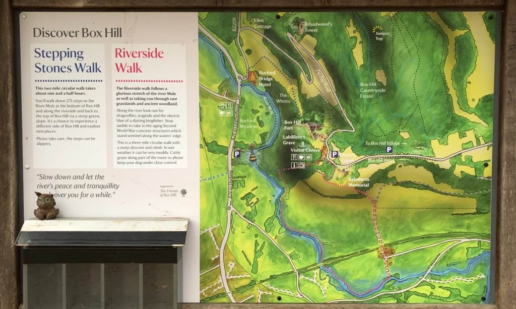 Box-hill-Stepping-stones-and-riverside-walk-map