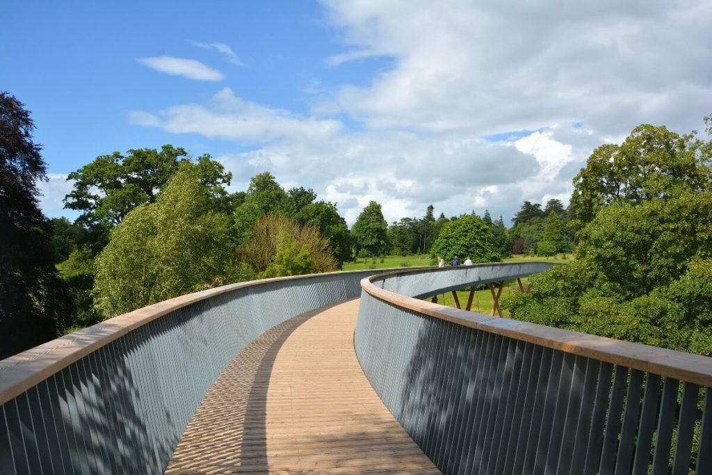 Central-view-of-the-treewalk-at-westonbirt-arboretum