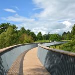 5 Reasons Why Westonbirt Arboretum Is the Perfect Place to Reconnect with Nature