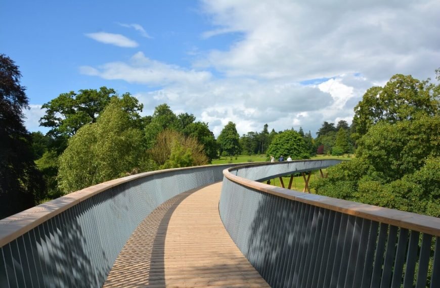 Central-view-of-the-treewalk-at-westonbirt-arboretum