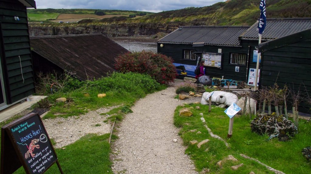 Kimmeridge-bay-wild-seas-centre