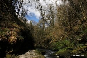 Read more about the article Lydford Gorge – The Deepest Gorge in South West of England
