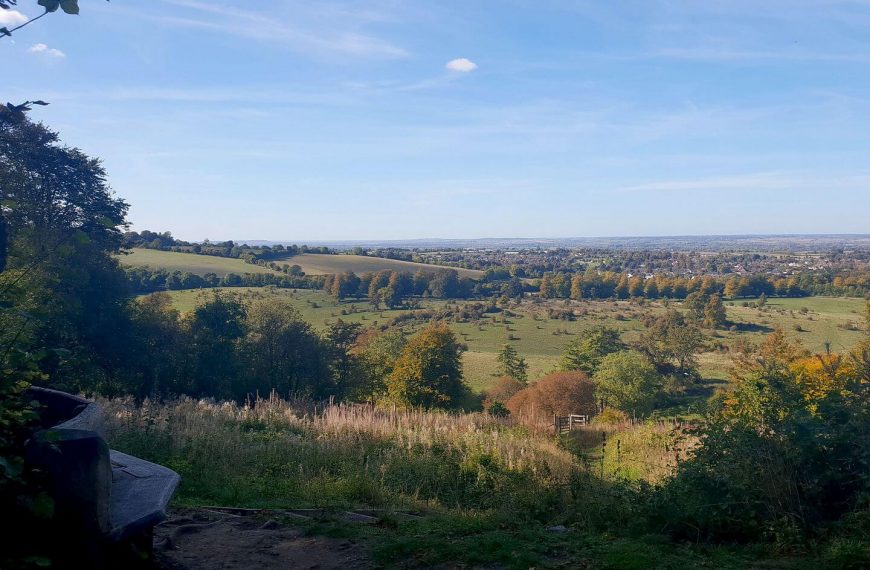 View_from_Chiltern_Hill