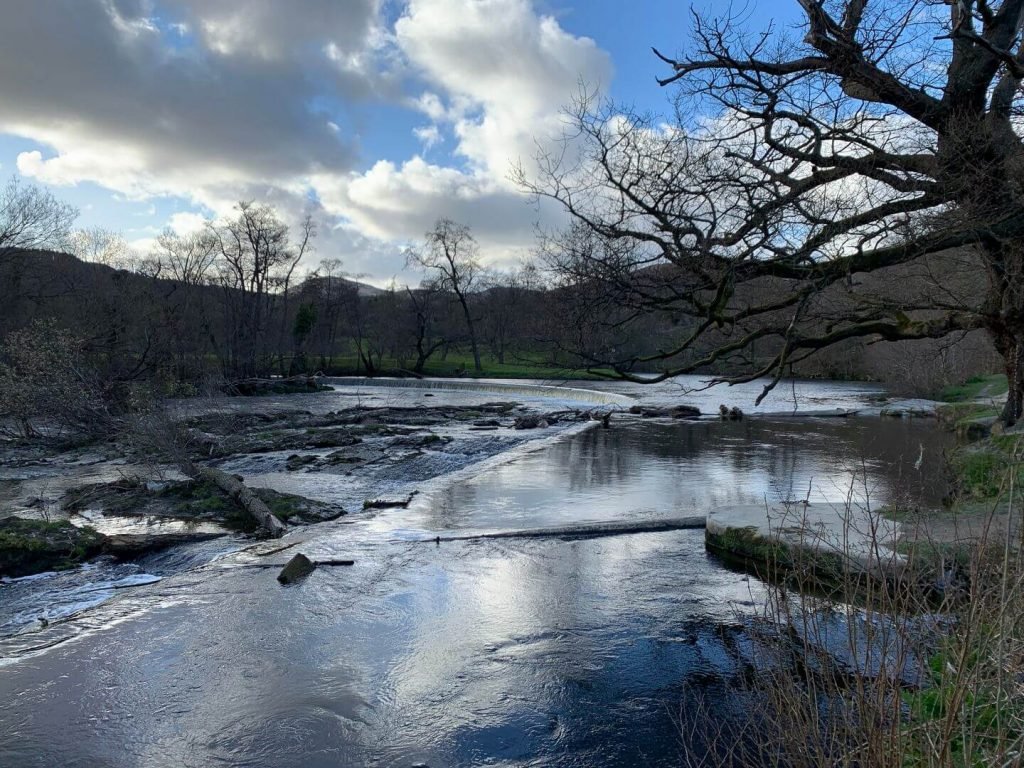 Weir-tree-in-Llangollen-Horse Shoe-Falls