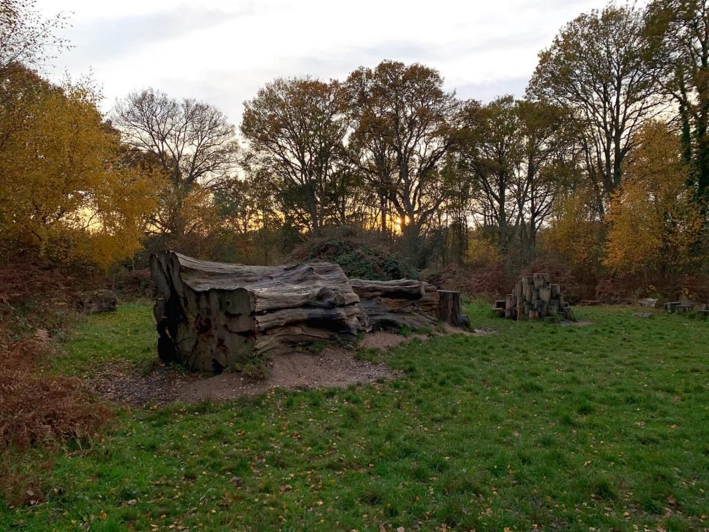 old-log-childrens-play-area-bookham-commons