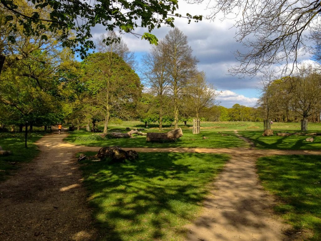 richmond-park-london-on-a-sunny-day