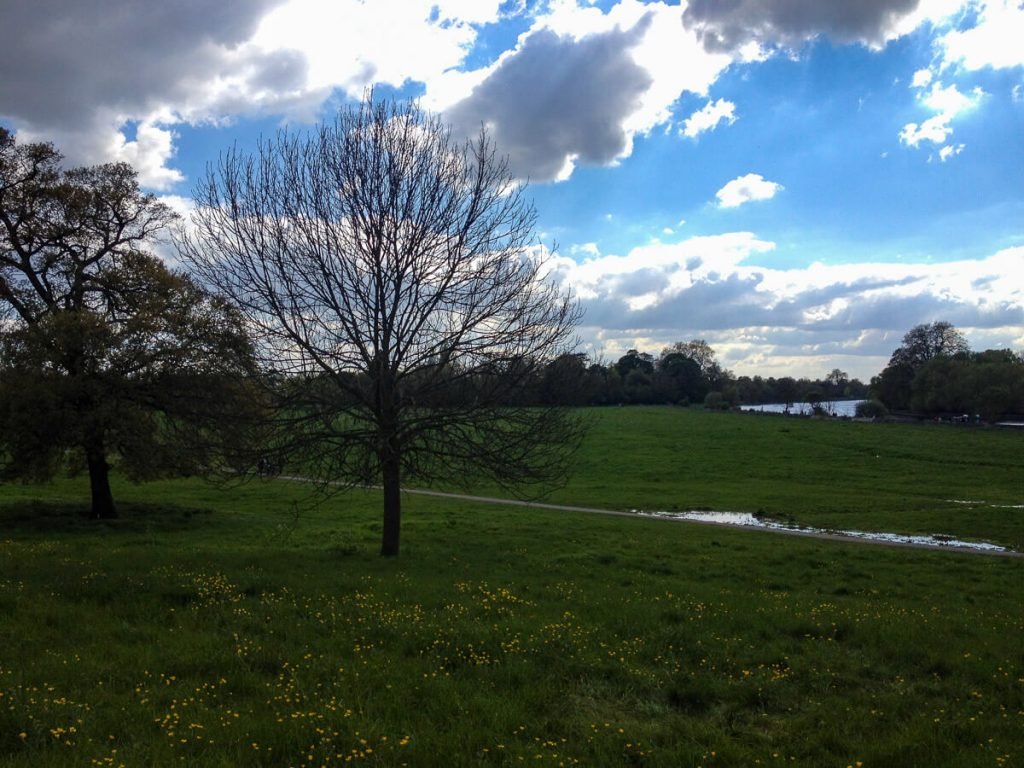 river-thames-richmond-riverside-walk-petersham-meadows
