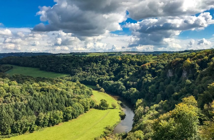 river-wye-from-yat-rock-and-woodlands